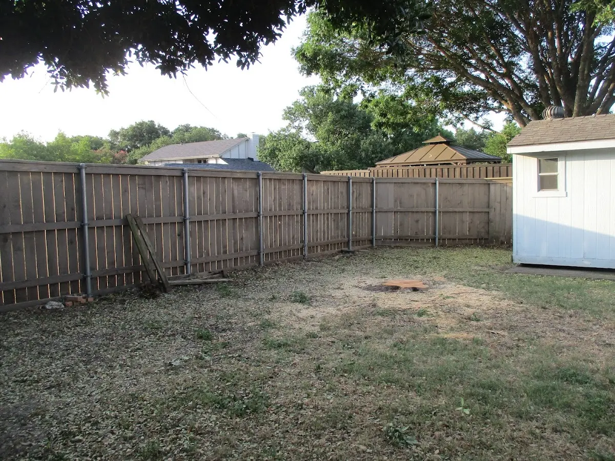 Cleared yard after professional tree removal in Creighton